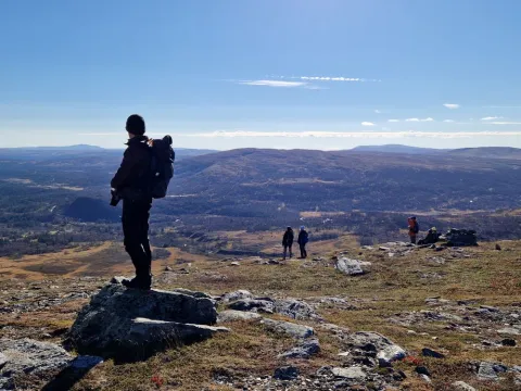 Vandring med vandrare